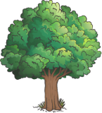 tree-treebox